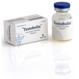 testosterone enanthate | testobolin 250mg/ml x 10ml vial | alpha pharma
